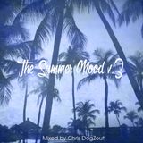 The summer mood V.3 By Chris DOGZOUT