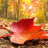 ChrisBand - October 2013 Mix