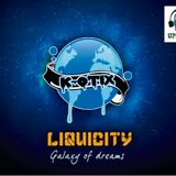 liquidcity