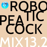 RPM 13.2