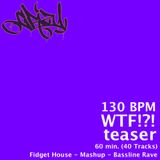 130 BPM - WTF!?! Teaser (60 min. / 40 tracks)