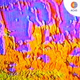 ASTROCAST43: Basile