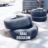 Anal Osculum x Artwort