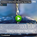 Songs 4 Vibrating Timez