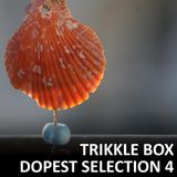Trikkle Box - Dopest Selection 4