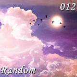 Random 012
