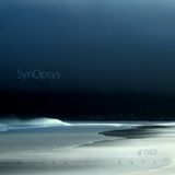 # 042 Kirill Matveev - SynOpsys (2011)