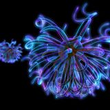 Renewed (Progressive Psytrance)