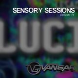 Vangar Pres. Sensory Sessions EP. 14 - Lucid Fest Guest Mix