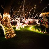 Opening set at Pinecrest 2012-12-29