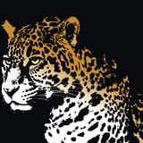 D Jaguar_ Trees_Enero Promo Mix 2012