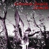 Aevum - The Inquisition (From Celestial Angels Demo)