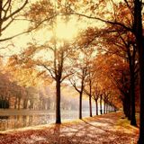November 12