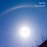 Pronik - Spring Guacamole