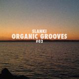 Organic Grooves #02