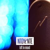 Issue 2: Loft in Mood