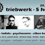 psychosonic @ 5_heroes, Triebwerk Dresden, 20_01_06