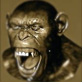 APETAPE