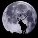 Deep & Dark Techno Mix - Jan 2013