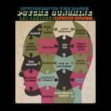 A walk in the sunshine. Psyche sunshine & beyond II