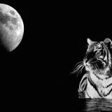 Jd Full Moon Set @ Lido Turistico _ 14.06.2014