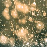 Electrical Perceptions Ep.143