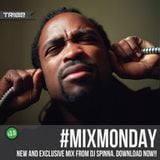 DJ Spinna Edition - Tribe Records #MIXMONDAY v3.0