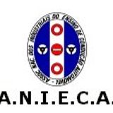 Debate ANIECA