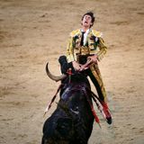 Gabriele Arena - After Spain