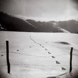 No Boundaries 3