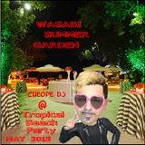 Wasabi Summer Garden Summer 2015