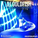 DJ Goldfish - Live at LapSap 5th Anniversary 15.12.2012
