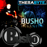 Busho - Infected Podcast 001 (Theracords Radio Show 122 April 2011)