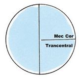 Mec Cor - Trancentral (2010)