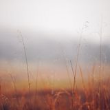 Deep Progression 10-11-2014