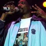 Snoop Dogg 2009-06-14 What Stage at Bonnaroo Manchester, Tenn. Rare Snoop Soundboard