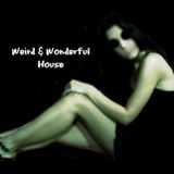 Weird & Wonderful House