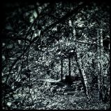 Tiefenrausch #031: Don't loose heart! - Black Metal Compendium Part 2