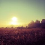 Danwa - Autumn Sun