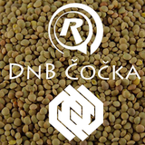 DnB Čočka 8/3/16@Rádio R w/ Sayko@Hrr.nec