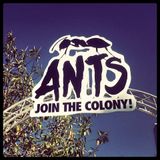 PAOLA POLETTO B2B FRANCISCO ALLENDES / Live from the Antz Opening Party / 01-06-2013 / Ibiza Sonica