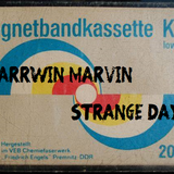 Strange Dayz