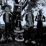 african bliss - desert music