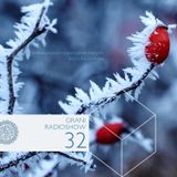 Grani Radioshow #32 (New Year)