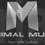 STAATSHUREN.NO1...MINIMALTECHNO-Fu..the.P