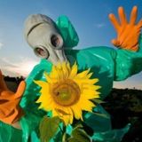 SonntagsKind - SonnenBlumenFREItagDer3ZehnteL
