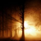 MAX RICHTER - OPEN DARK-MINDED SERIES 2015 (Promoseries Part.01)