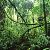 Techsmith & Hysteria - Hive Radio - 01.31.2016 - 3 Hour Jungle Mix