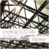 Unofficial EDC Las Vegas 2011 - DJ Benkay