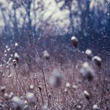SAMSARA | When Time Stands Still